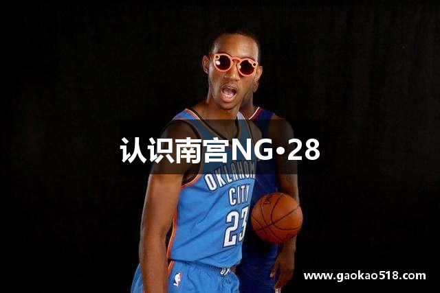 认识南宫NG·28